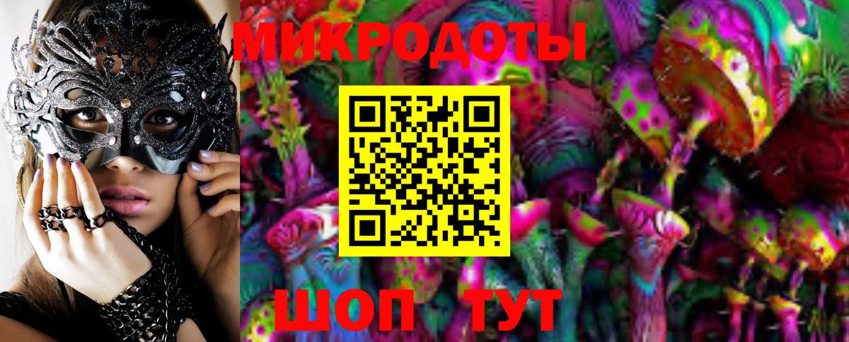 Псилоцибиновые грибы Psilocybe Кунгур